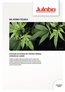 2019-11-21-Fachartikel Cannabis A4 PT