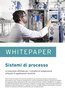 Whitepaper Sistemi di Processo IT