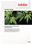 2019-11-21-Fachartikel Cannabis A4 EN