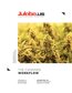 JULABO-Cannabis-White-Paper FINAL