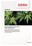 2019-11-21-Fachartikel Cannabis A4 NL