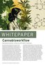 Whitepaper Cannabis NL