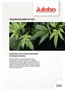 2019-11-21-Fachartikel Cannabis A4 RU1