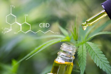Temperature control application of processes for the extraction of CBD cannabis products