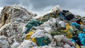 AdobeStock 380954662